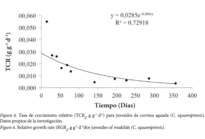 Tasa de crecimiento relativo
(TCRg, g g-1 d-1) para juveniles de corvina
aguada (C. squamipinnis).