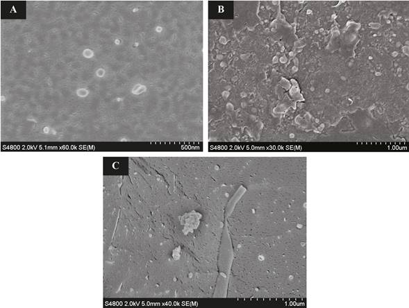 Micrografía Cryo-SEM de vesículas A) a base de PC, B) a PC/DMPG-Na y C) PC/DMPG-Na/Quitosano. Nota: Fuente propia del estudio.