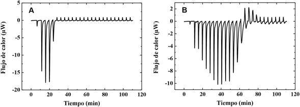 Termogramas asociados a la titulación de A) la suspensión de liposomas 1,38 mM y B) 3,82 mM (52% de moles de DMPG-Na y 48 % PC), con quitosano 0,86 mg/mL.