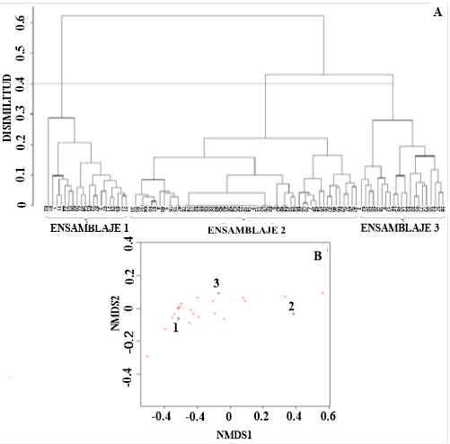 Dendrograma de las estaciones muestreadas donde se indica la presencia de tres ensamblajes con respecto a las especies en cada lance basado en un 0,4 de disimilaridad de Bray-Curtis (A). Escalamiento multidimensional no métrico (NMDS) de dos dimensiones que muestran los tres ensamblajes según la profundidad (B). Nota: Fuente propia de la investigación.