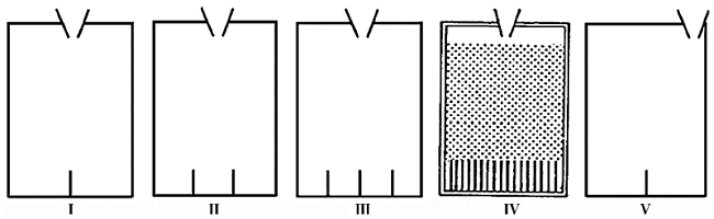 Esquemas de las bandejas para distribuciones