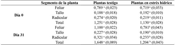 Biomasa acumulada al inicio (d&iacute;a 0) y final (d&iacute;a 31) del experimento en plantas de G. arborea expuestas en condiciones de estr&eacute;s h&iacute;drico