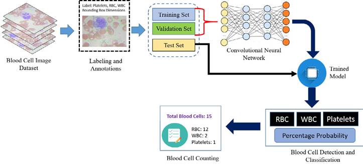 Methodology of the blood cell detection.