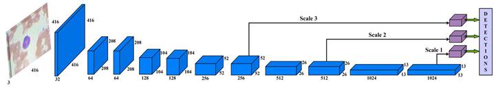 Architecture of the proposed model on processed data.