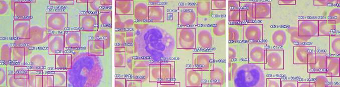 Result of the generated detection model.