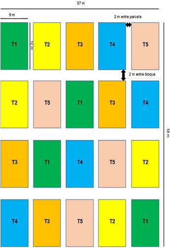 Caracter&iacute;sticas de las parcelas experimentales