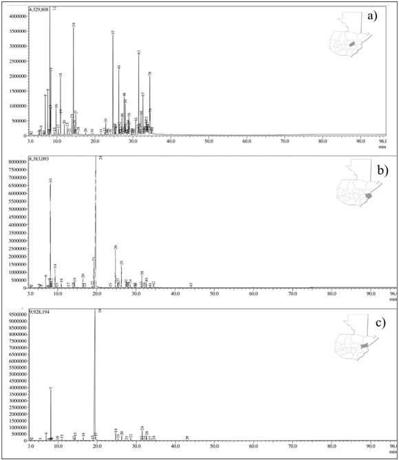 Derived from research. GC chromatogram of essential oils from Lippia graveolens collected from: a) El Progreso (I: cis-Dihydro-β-terpineol), b) Chiquimula (II: Carvacrol) and c) Zacapa (III: Thymol) departments.