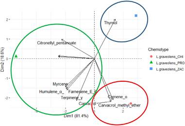 Derived from research. PCA of the 15 major components of the chemotypes among the departments PRO: El Progreso, CHI: Chiquimula and ZAC: Zacapa, of Lippia graveolens.