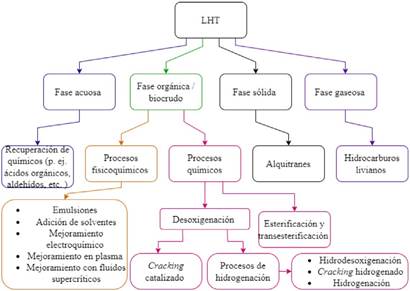 Mapa conceptual de los productos de proceso de LHT y sus opciones para mejorar el biocrudo.