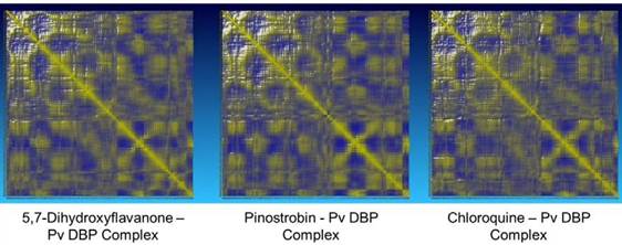 Domain cross-correlation matrix molecular dynamics simulation.