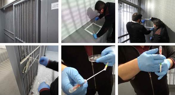 Toma de muestras de bacterias coliformes