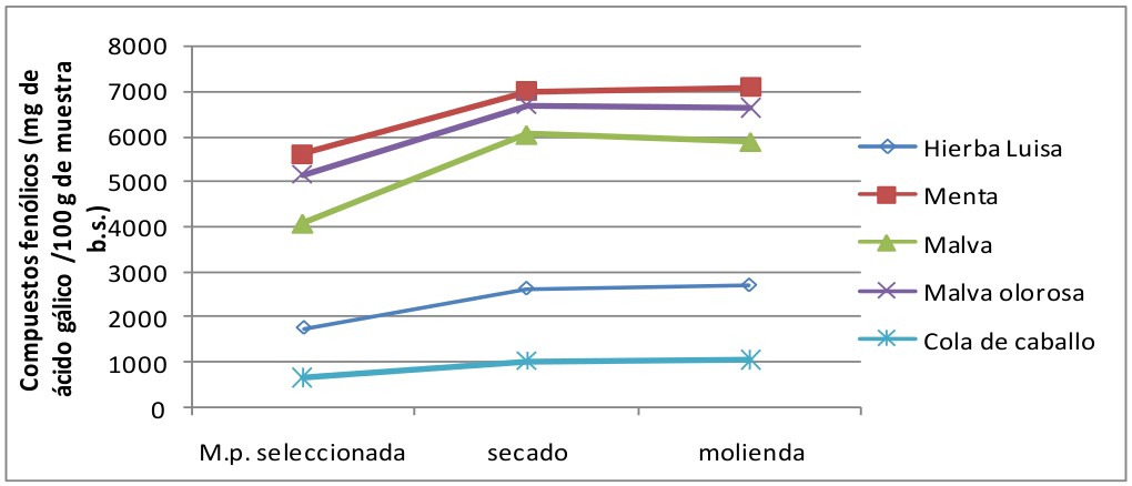 Variabilidad de
compuestos fenólicos de las hierbas en materia prima, secado y molienda