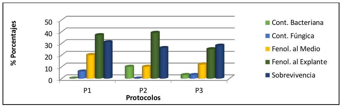 Comparación de variables contaminación, fenolización y
sobrevivencia con respecto a los protocolos de desinfección en Geranium chilloense.