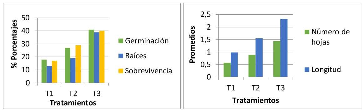 Izquierda: Comparación de porcentajes de germinación,
raíces y sobrevivencia. Derecha: Comparación
de promedios de número de hojas y longitud, con respecto a la concentración de
sales MS en G. chilloense. T1:
MS, T2: MS 1/2 y T3: MS 1/4.