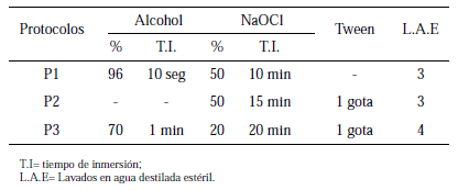 Protocolos evaluados
en la fase de desinfección de Geranium
chilloense.