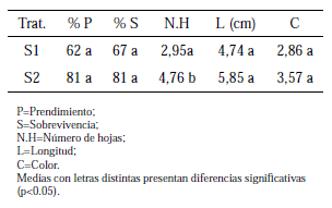 Porcentajes y
promedios de las variables evaluadas en la fase de adaptación al sustrato en G. chilloense a los 30 días.