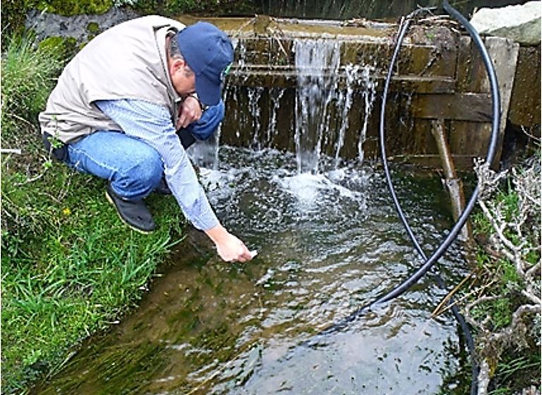 Fuente de agua primaria en un p�ramo ecuatoriano con alto contenido de hierro. A ella se encuentran adaptadas solo ciertas especies de macroinvertebrados