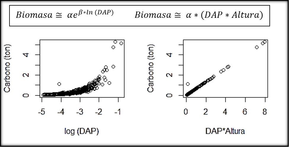 Gr&aacute;ficas de la estimaci&oacute;n de carbono seg&uacute;n las f&oacute;rmulas expresadas