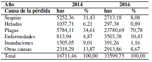 Pérdidas reportadas en el cultivo de
maíz duro (2014 y 2016).
