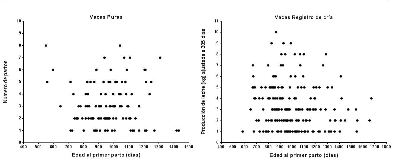 Asociación entre la edad al primer parto y número de partos en dos grupos de vacas Holstein con diferente potencial de producción en sistemas a pastoreo.