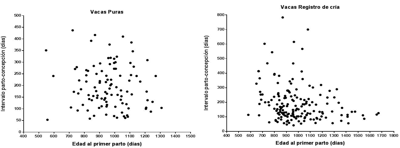 Asociación entre la edad al primer parto e intervalo parto-concepción en dos grupos de vacas Holstein con diferente potencial de producción en sistemas a pastoreo.