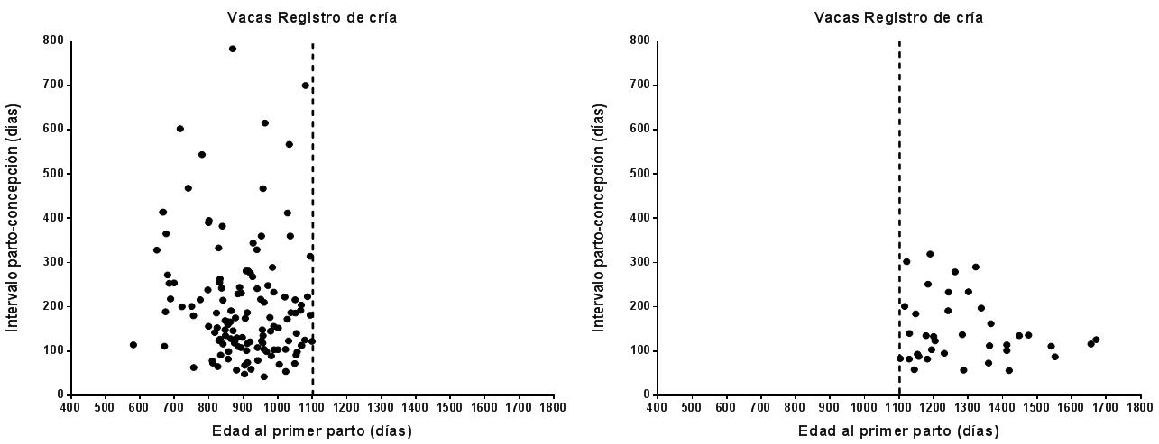 Asociación entre la edad al primer parto e intervalo parto-concepción en dos grupos (<= 1100 días y >= 1100 días) e intervalo parto concepción de vacas Holstein con registro de cría en sistemas a pastoreo.