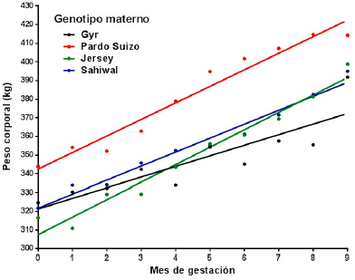 Patrón de crecimiento lineal durante
la primera gestación de vacas cruza con genotipo paterno Brahman y diferente
genotipo materno en condiciones de pastoreo en la Amazonia ecuatoriana
