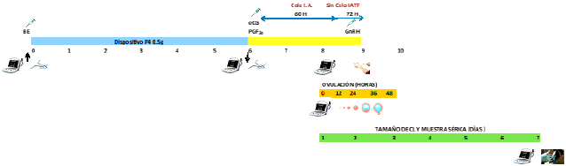 T1: J - Synch +eCG+ Celo –I.A. 60 horas. Sin Celo I.A.T.F. 72 Horas+ GnRH