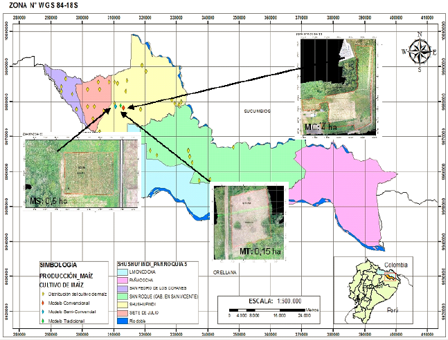 Distribución geográfica de los cultivos de maíz en las parroquias de San Pedro de los Cofanes, Siete de Julio, San Roque, Shushufindi cabecera cantonal, y la ubicación de las parcelas de estudio para cada modelo MC, MS y MT,