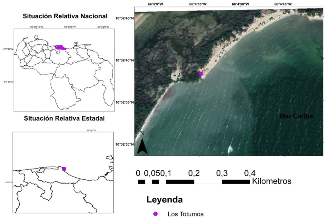 Mapa de Localizaci�n de Los Totumos. Elaborado a partir de la Imagen Satelital Lansatd 8. Combinaci�n de las bandas 321: Color natural.
