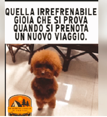 Video con m�s &ldquo;likes&rdquo; y &ldquo;shares&rdquo;