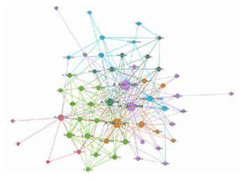 Redes de emociones y atributos espaciales