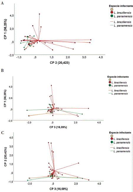 An&aacute;lisis de componentes principales (ACP) en relaci&oacute;n con la especie de Leishmania spp. antes, durante y al finalizar los 20 d&iacute;as del tratamiento farmacol&oacute;gico. El componente principal 1 (CP 1) explica el 36,15 % de la variaci&oacute;n de los datos, el CP 2 explica el 20,42 % de la varianza y el CP 3 el 16,09 %. Figura 4A: El ACP del CP 1 y CP 2 explica el 56,57 % del modelo. Se observan diferencias en los centroides de las especies infectantes seg&uacute;n el CP 2. Figura 4B: El ACP del CP 1 y CP 3 explica el 52,34 % del modelo. Se reportan diferencias sustanciales en los centroides de las especies infectantes de acuerdo con ambos componentes. Figura 4C: El ACP del CP 2 y CP 3 explica el 36,51 % del modelo. Se presentan diferencias en los centroides de las especies infectantes con base en el CP 2.