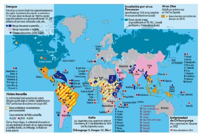 Fiebre amarilla, zika, dengue, Powassan. 