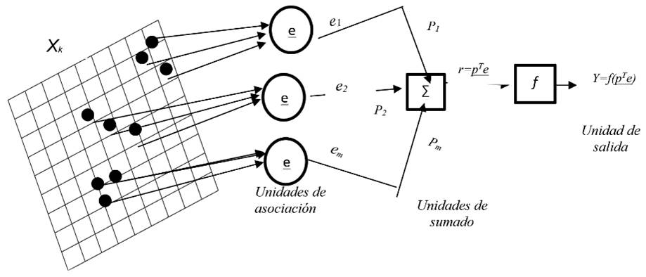 Perceptr&oacute;n original