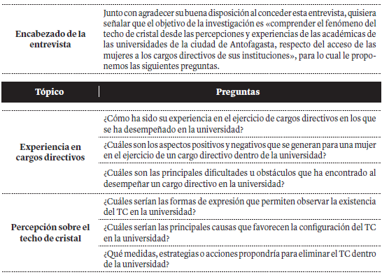 Pauta de cotejo de las entrevistas realizadas durante la investigación