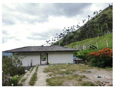 Palmas de cera y arquitectura vern&aacute;cula, vereda L&oacute;pez, Torib&iacute;o