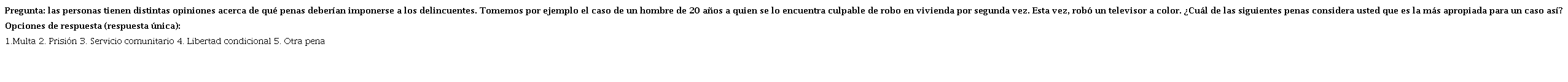Pregunta seleccionada del cuestionario de la EV de la DNPC para medir orientación específica de la punitividad pública en el AMBA