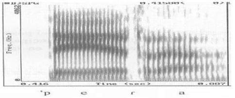 Espectrograma de vibrante simple sin elemento voc&aacute;lico (Mart&iacute;nez Celdr&aacute;n,
1998)