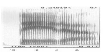 Espectrograma de vibrante aproximante sin elemento voc&aacute;lico (Mart&iacute;nez
Celdr&aacute;n, 1998)