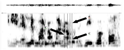 Espectrograma de vibrante m&uacute;ltiple (CARA_M23_092)[12]