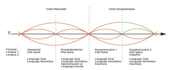 Ciclos de aprendizaje