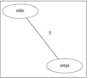 Partes de la cabeza. Grado 11.º 