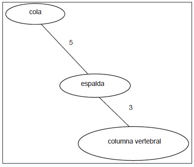 Partes posteriores del cuerpo. Grado 11.º