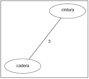 Partes centrales del cuerpo. Grado 11.º