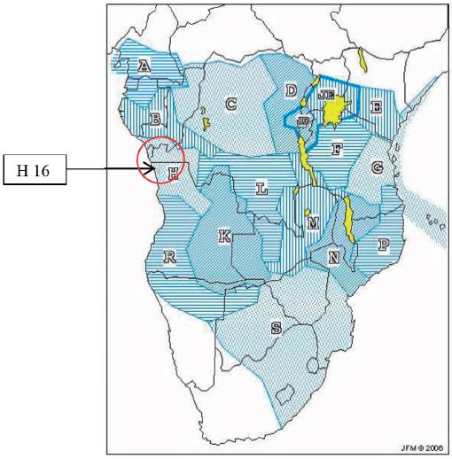 Mapa genético de las lenguas bantúes, la zona del kikongo es clasificada como H y el subgrupo kikongo figura como H16