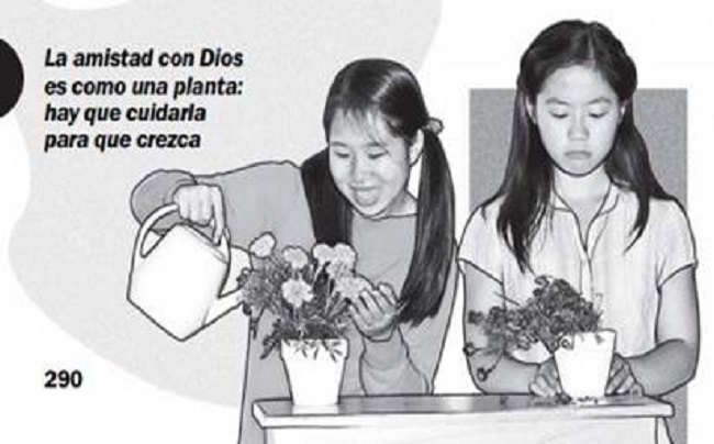 Fuente: WTBTSP (2008, p. 290).