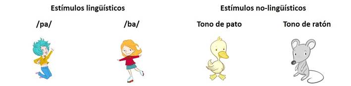 Im&aacute;genes de los est&iacute;mulos auditivos ling&uuml;&iacute;sticos y no ling&uuml;&iacute;sticos