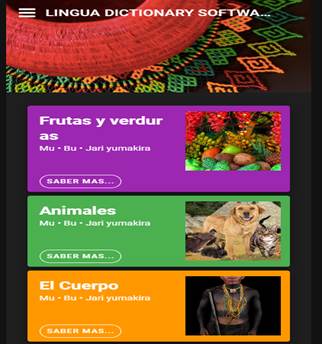 Muestra de la aplicaci&oacute;n Lingua Dictionary Software