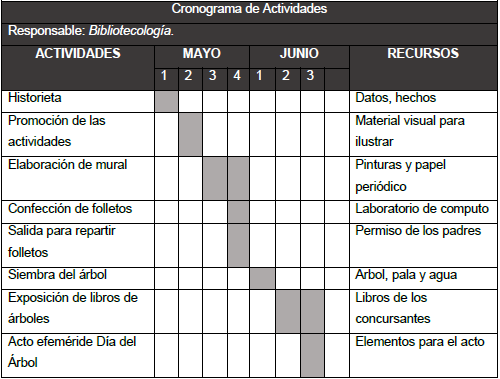 Cronograma de actividades de la estrategia
